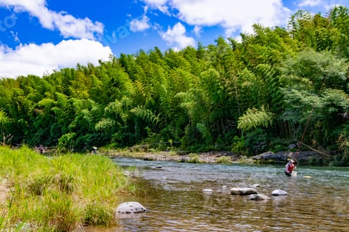 Preview: Ayu Fishing In The Kano River In Izu City, Shizuoka Prefecture