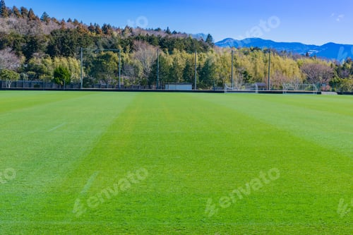 Preview: Artificial Grass Football Ground