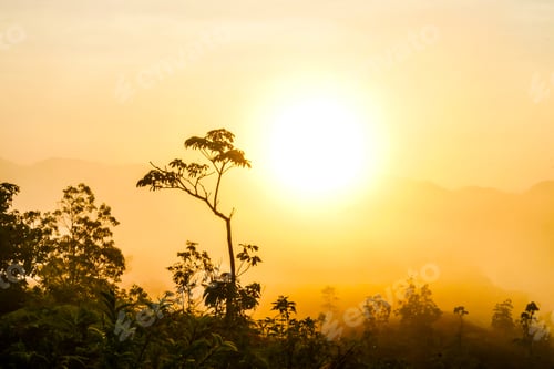 Preview: Sunrise At The Fog Mountains In The Summer.