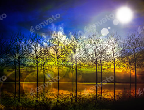 Preview: Dead Tree Silhouettes At Twilight.