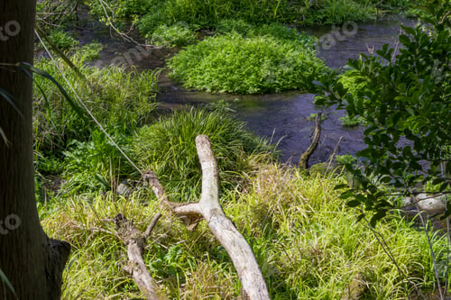 Preview: Kakita River In Japan