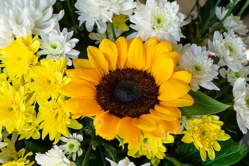 Preview: Close Up Sunflowers And Chrysanthemum Flower In The Wedding Background.