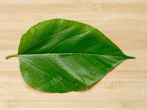 Vista previa: Close Up A Green Leaf On Wood.