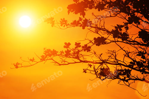 Preview: Tree Branches On Orange Background