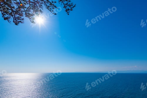 Preview: A View Seen From Koganesaki Park, Nishiizu-Cho, Kamo-Gun, Shizuoka Prefecture