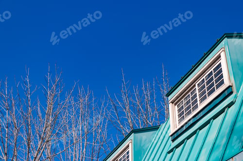 Preview: The Blue Roof And Winter Sky