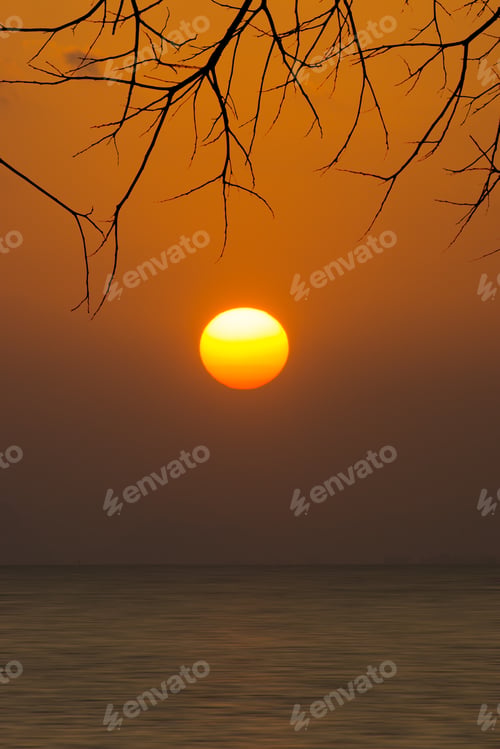Preview: Sunset Sky On The Lake With Silhouette Branch.