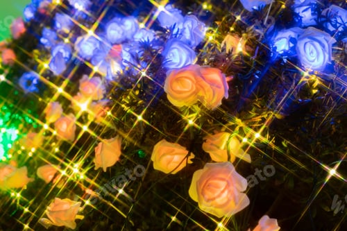 Preview: Illumination Of Gotemba Tokinosumika(Rose Illumination)