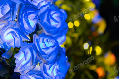 Preview: Illumination Of Gotemba Tokinosumika(Rose Illumination)