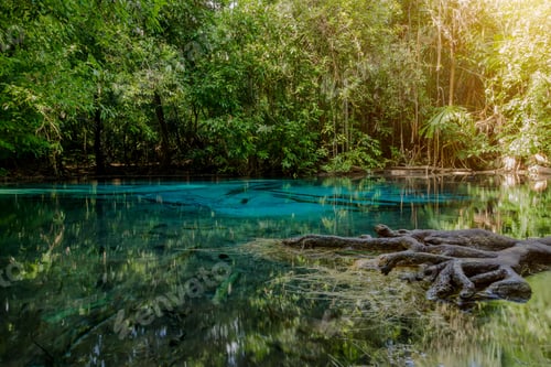 Preview: Amazing Nature, Blue Pond In The Forest. Krabi, Thailand.