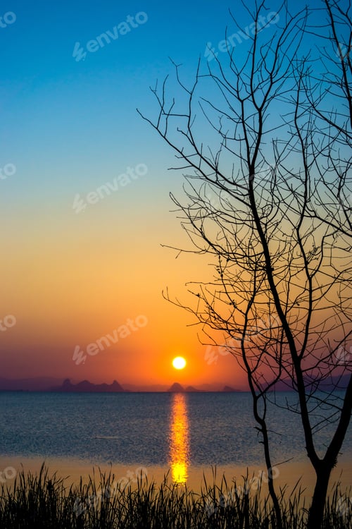 Preview: Sunset Sky And Dead Tree At The Lake.