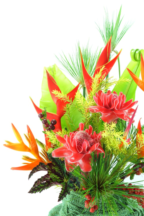 Preview: Flower Arrangement With Tropical Flowers.