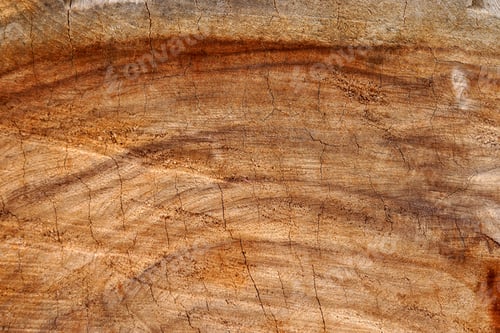 Preview: Beautiful Surface Pattern In The Industry.