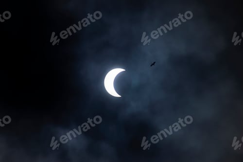 Preview: Soft Light Eclipse Of The Sun Behind The Cloud With Bird On The Sky.