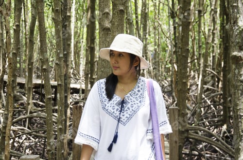 Preview: Traveler Thai Woman Walking On Wooden Bridge In Mangrove Forest Or Intertidal Forest For Visit