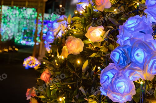 Preview: Illumination Of Gotemba Tokinosumika(Rose Illumination)