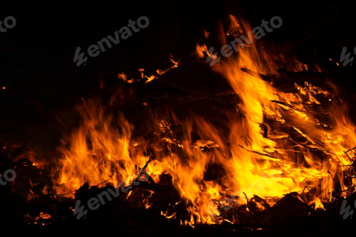 Preview: The Movement Of The Flames In The Dark