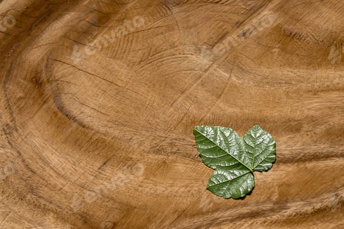 Preview: Green Leaf On Wood Background.
