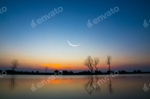 Preview: Moonset Sky And Dead Tree At The Lake.