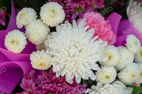 Preview: Close Up Chrysanthemum Flower In The Wedding Background.