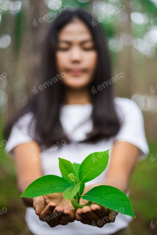 Preview: Young Asian Woman Holding Tree In Hands