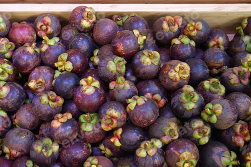Preview: Mangosteen Background.