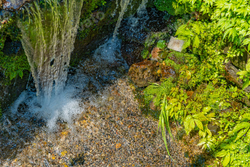 Preview: Wasabi Field In Ikadaba, Izu City, Shizuoka Prefecture