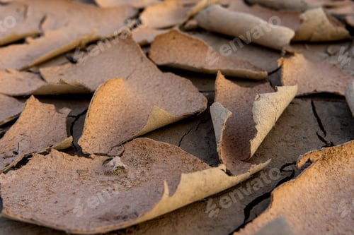 Preview: Close Up Dry Soil In Summer Background.