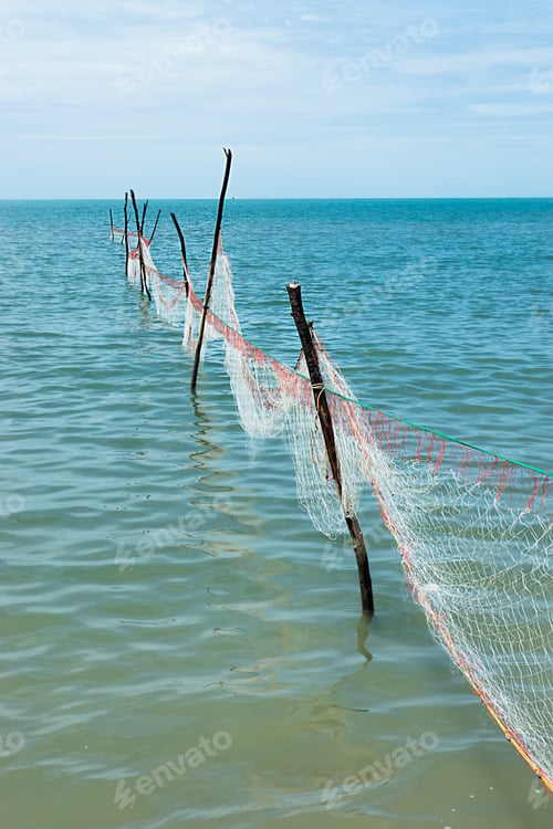Preview: Net Fishing In The Ocean When The Water Receded.
