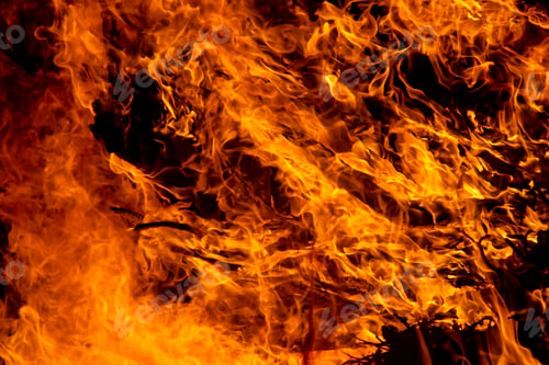 Preview: The Movement Of The Wildfire Background.