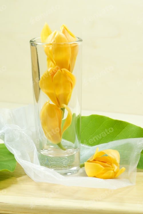 Preview: Unfocused Fragrant Yellow Flowers. (Scientific Name : Champaka - Michelia Alba Dc.)