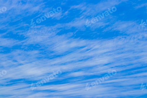 Preview: The Blue Sky Of Early Summer