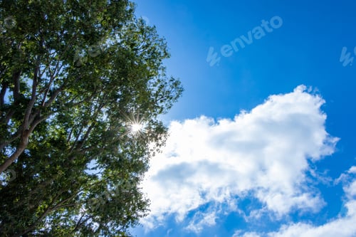 Preview: Midsummer'S Blue Sky