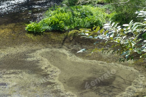 Preview: Kakita River In Japan