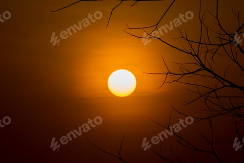 Preview: Silhouette Branch With Big Sun In Sunset Sky.