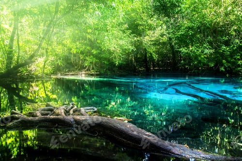 Preview: Amazing Nature, Blue Pond In The Forest. Krabi, Thailand.