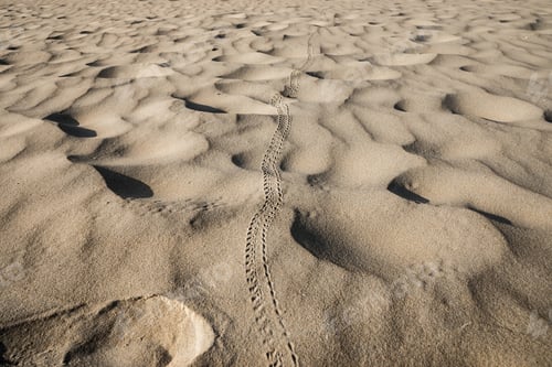 Preview: View And Details Of The Sand, Phang Nga - Thailand.