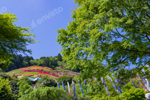 Preview: Scenery Of Himenosawa Park In Shizuoka Prefecture