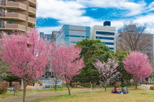 Preview: Cherry Blossoming Business Park