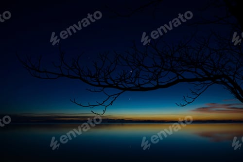 Preview: Silhouette Branch With Twilight Sky And First Star At The Lake.