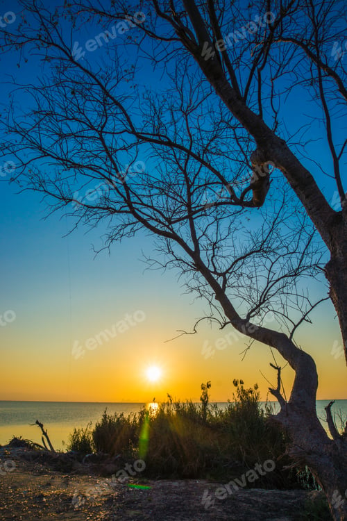 Preview: Sunset Sky And Dead Tree At The Lake.
