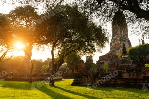 Preview: Tree With Shadow And Sunlight In The Old Landscape Of Ayutthaya Province, Is A Tourist Attraction
