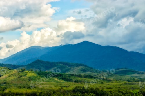 Preview: Green Forest View On The Mountain With Cloud.