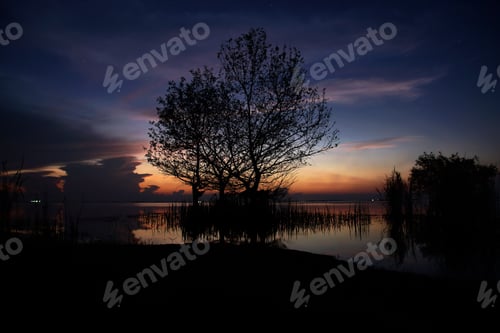 Preview: Silhouette Tree In The Lake With Sunrise Sky