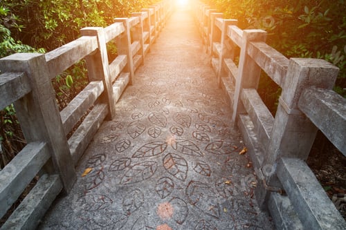 Preview: Natural Mangrove Walkway. Thailand Travel.