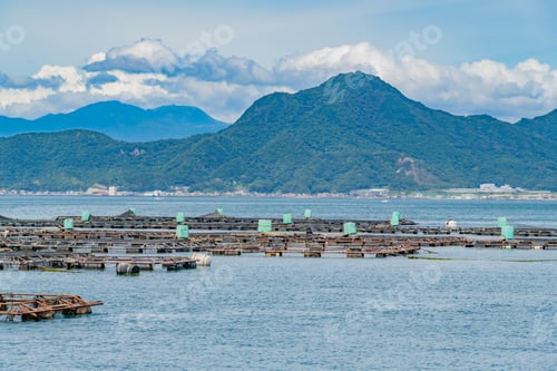Preview: Uchiura Sea In Numazu City, Shizuoka Prefecture