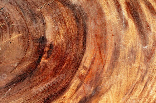 Preview: Texture Of Wood For Furniture Making