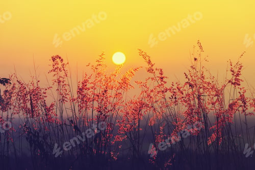 Preview: Flower Grass On The Mountain With Sunset In Vintage Color.