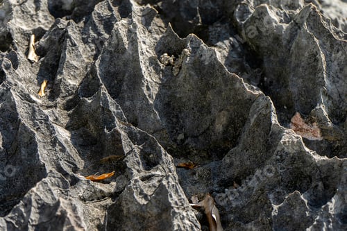 Preview: The Surface Of The Limestone Mountains