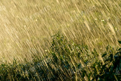 Preview: Rain Fall In Rains Season With Light, Un-Focus On This Image.
